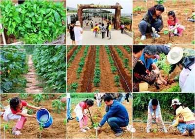 休閑農業(yè)規劃,農業(yè)旅游規劃,田園綜合體規劃