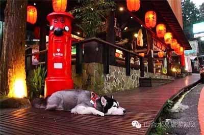休閑農業(yè)規劃,農業(yè)旅游規劃,田園綜合體規劃