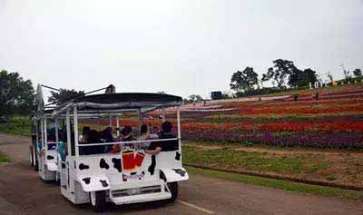 休閑農業(yè)規劃,農業(yè)旅游規劃,田園綜合體規劃