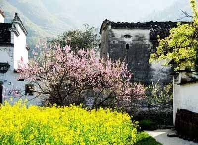 休閑農業(yè)規劃,農業(yè)旅游規劃,田園綜合體規劃