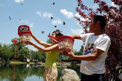 休閑農業(yè)規劃,農業(yè)旅游規劃,田園綜合體規劃