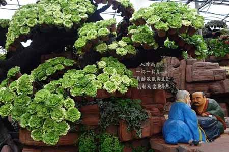 休閑農業(yè)規劃,農業(yè)旅游規劃,田園綜合體規劃