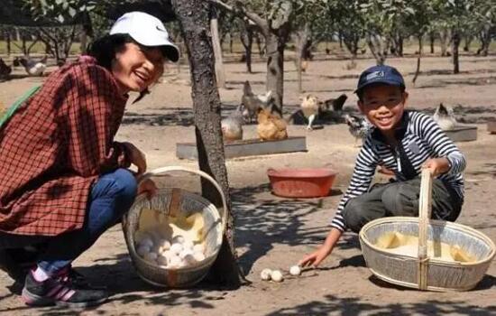 休閑農業(yè)規劃,農業(yè)旅游規劃,田園綜合體規劃