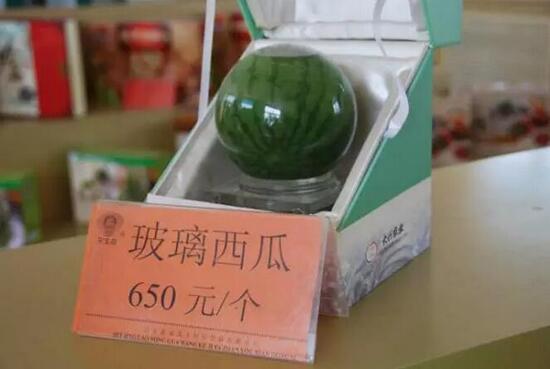 休閑農業(yè)規劃,農業(yè)旅游規劃,田園綜合體規劃