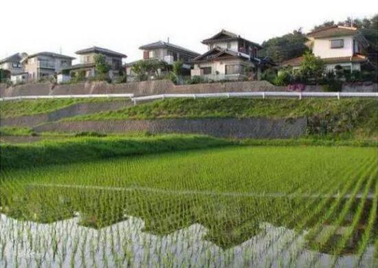 休閑農業(yè)規劃,農業(yè)旅游規劃,田園綜合體規劃