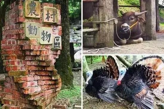 休閑農業(yè)規劃,農業(yè)旅游規劃,田園綜合體規劃