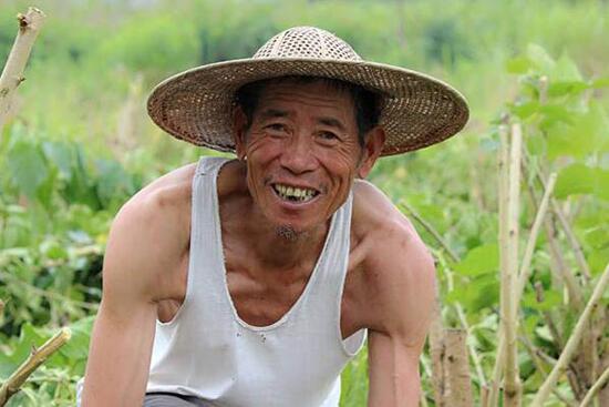 美麗鄉村規劃,美麗鄉村設計,鄉村旅游規劃,鄉村旅游設計