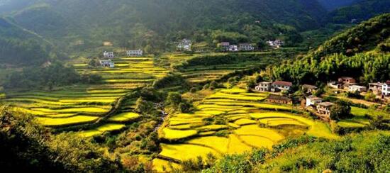 鄉村旅游與休閑農業(yè)