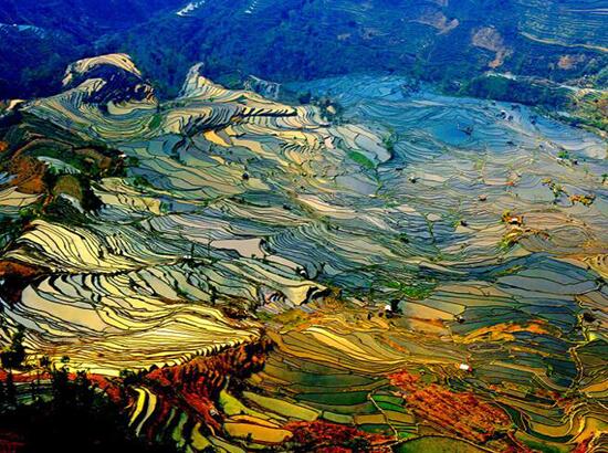 鄉村全域旅游