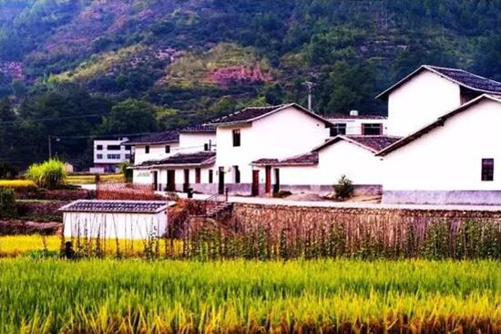 美麗鄉村