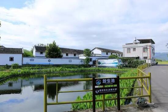美麗鄉村