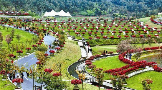 休閑農業(yè)規劃,農業(yè)旅游規劃,田園綜合體規劃