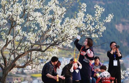 美麗鄉村規劃,美麗鄉村設計,鄉村旅游規劃,鄉村旅游設計