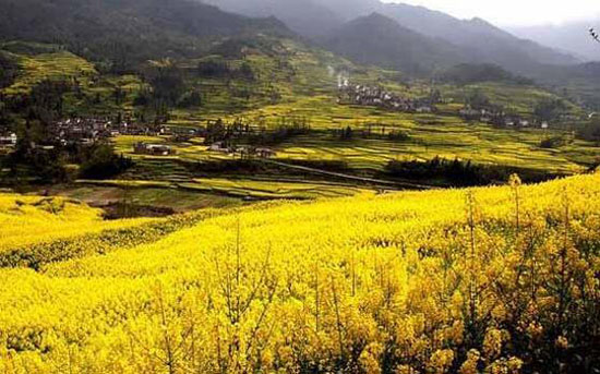 美麗鄉村規劃,美麗鄉村設計,鄉村旅游規劃,鄉村旅游設計