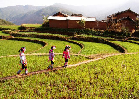 休閑農業(yè)規劃,農業(yè)旅游規劃,田園綜合體規劃