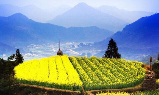 休閑農業(yè)規劃,農業(yè)旅游規劃,田園綜合體規劃